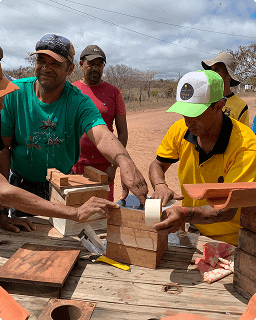 Curso de Apicultura